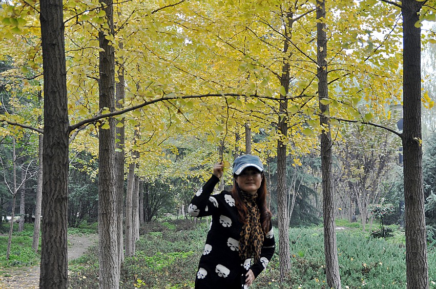 DSC_0007_conew1.jpg