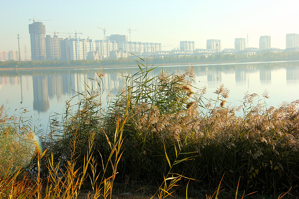 IMG_3194_副本.jpg