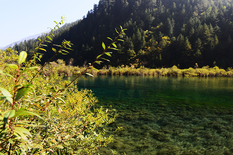 DSC_1385.JPG