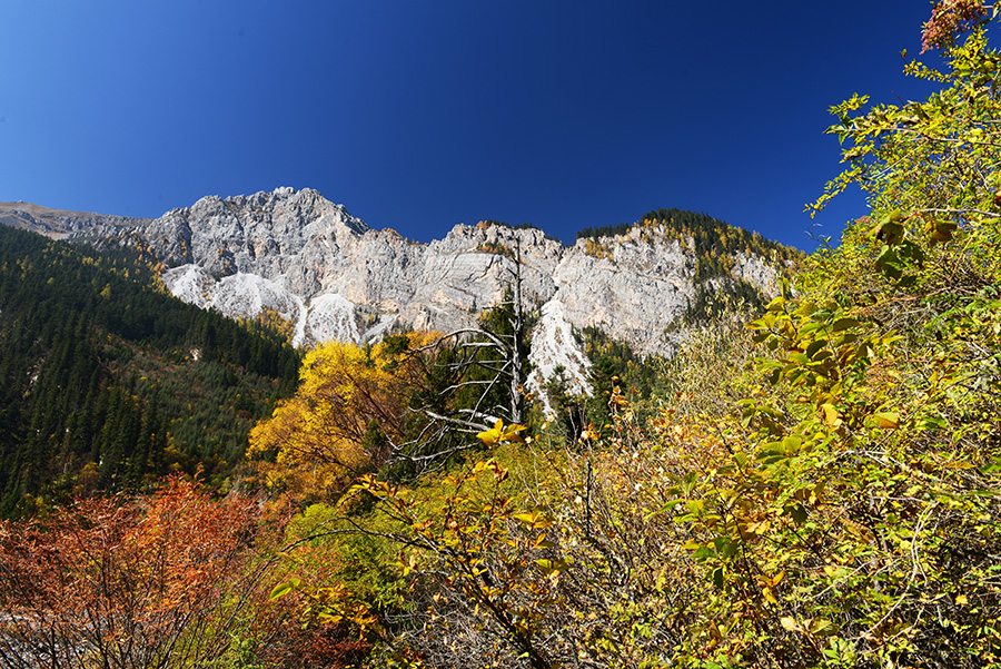 DSC_1402.JPG