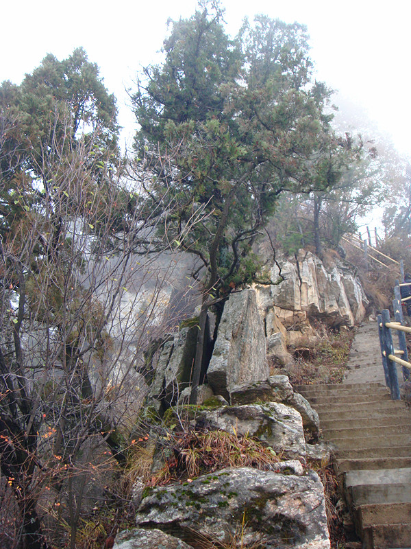 DSC01076_副本.jpg