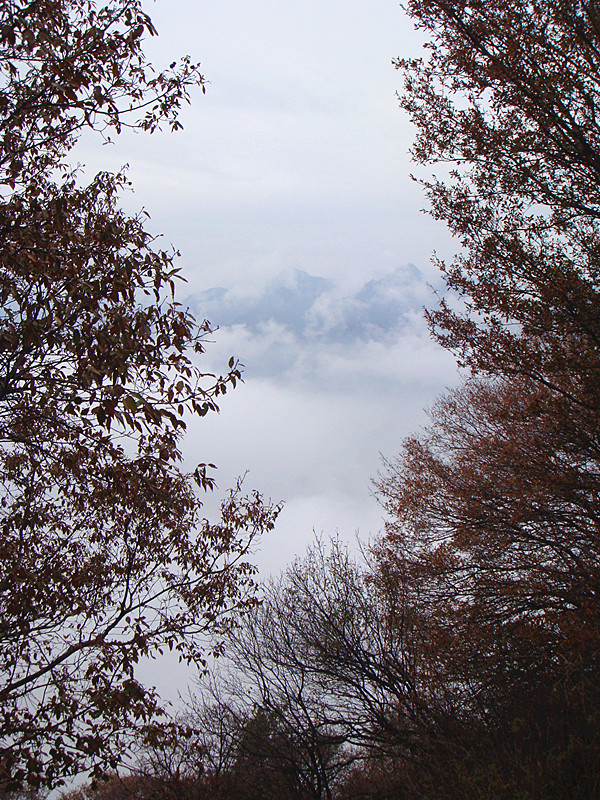 DSC01110_副本.jpg