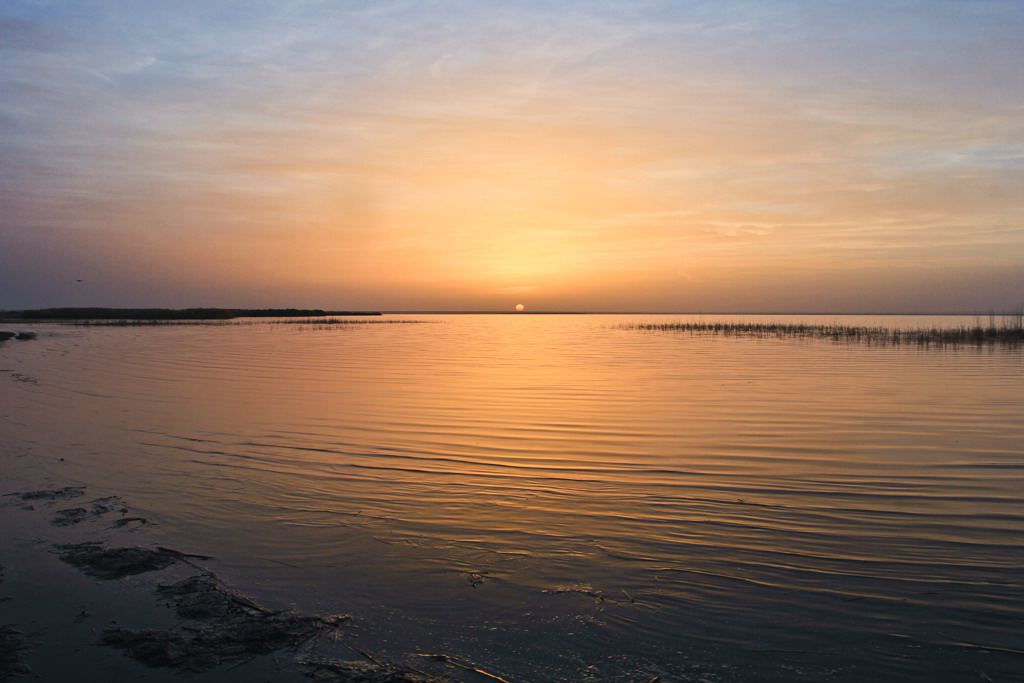 IMG_5003.jpg
