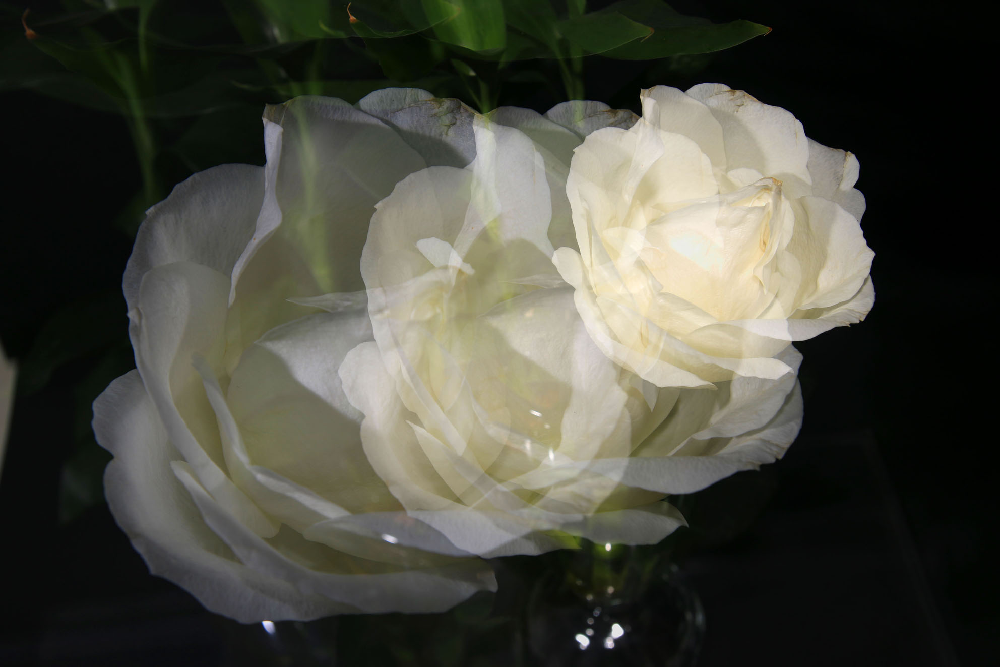 IMG_1367.JPG