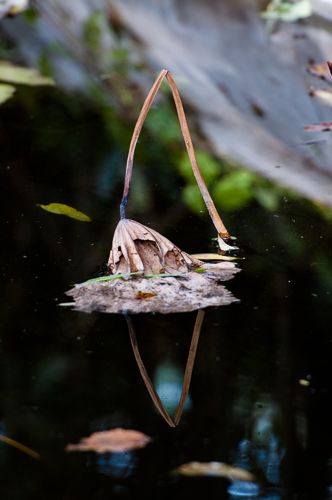 _DSC3710.jpg