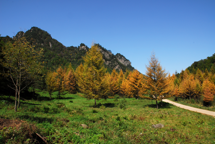 DSC_0127.JPG
