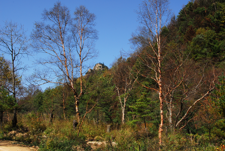 DSC_0139.JPG