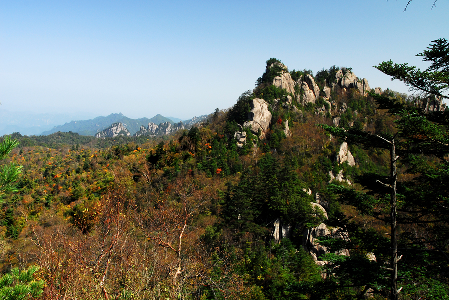 DSC_0155.JPG