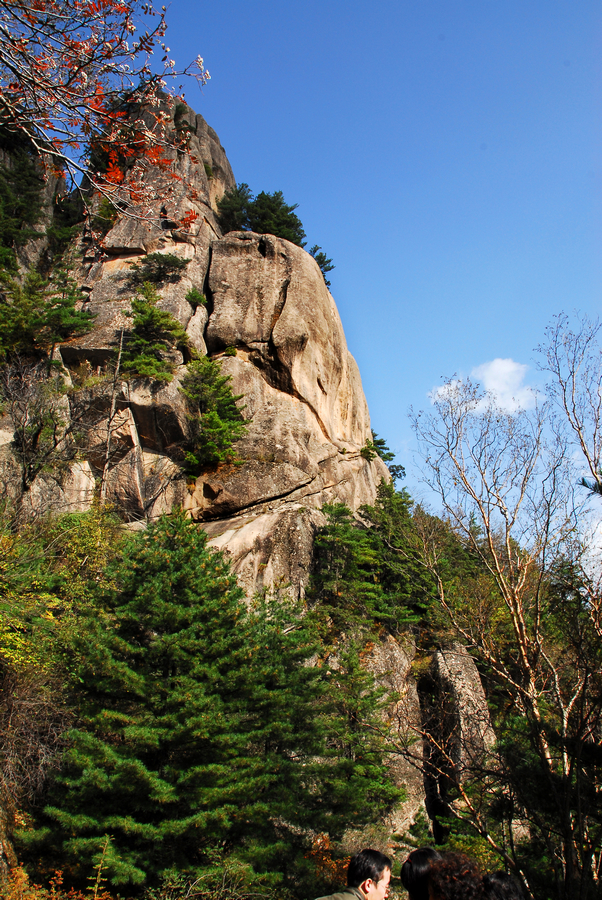DSC_0173.JPG
