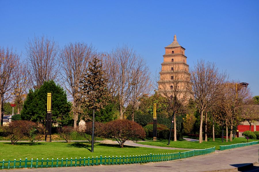 DSC_0212.jpg