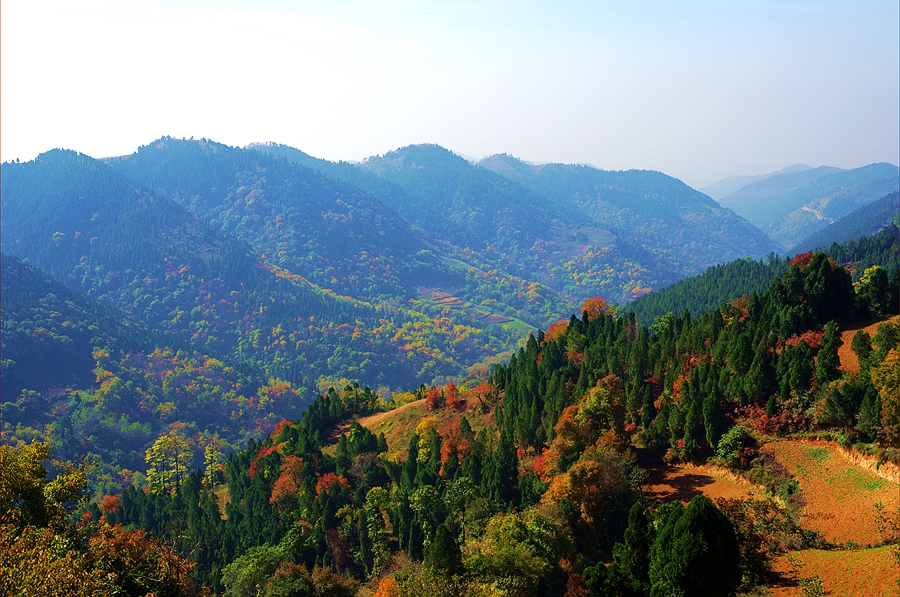 _DSC5376_副本.jpg