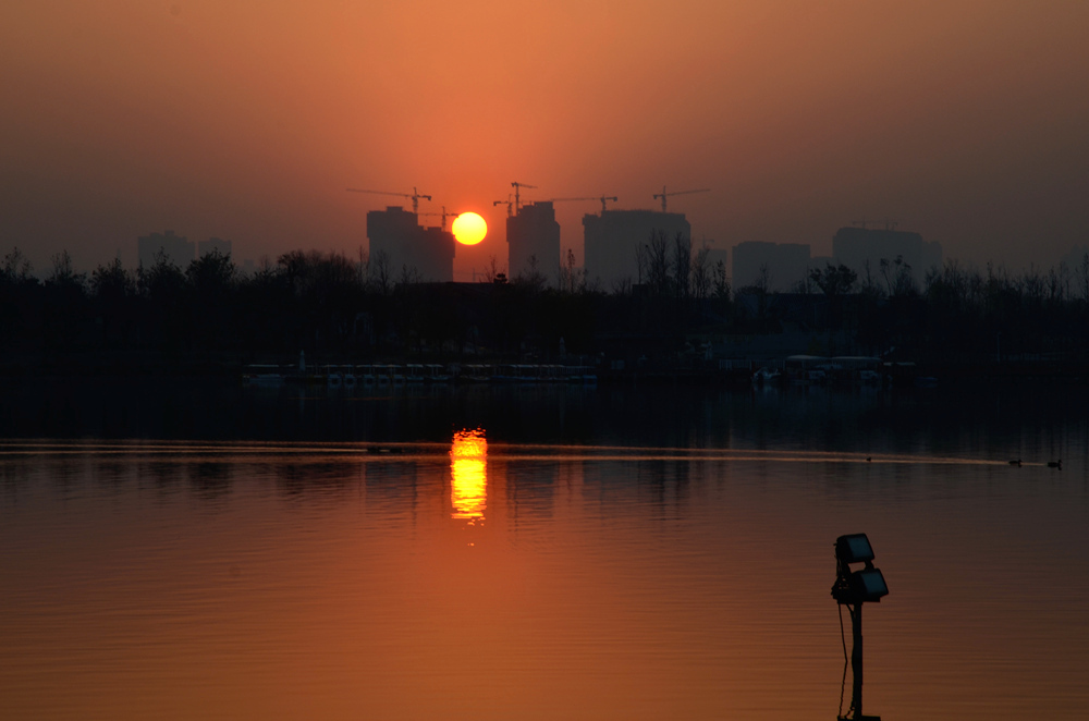 DSC_3221_03.jpg