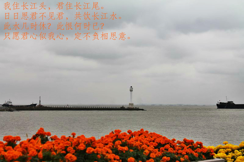 psb_meitu_1.jpg