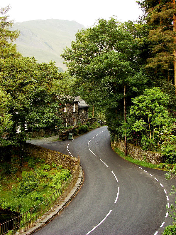 nEO_IMG_patterndale d_nEO_IMG.jpg