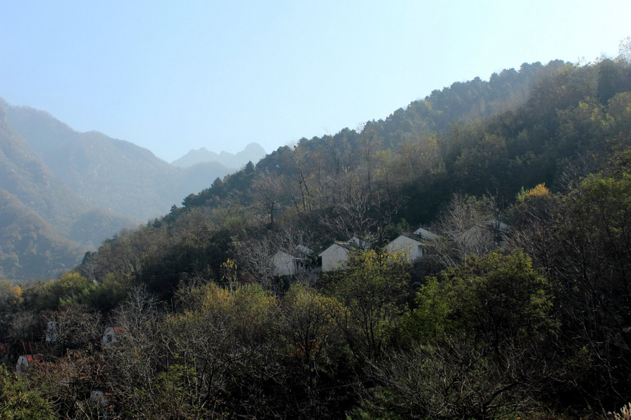 IMG_9803.jpg