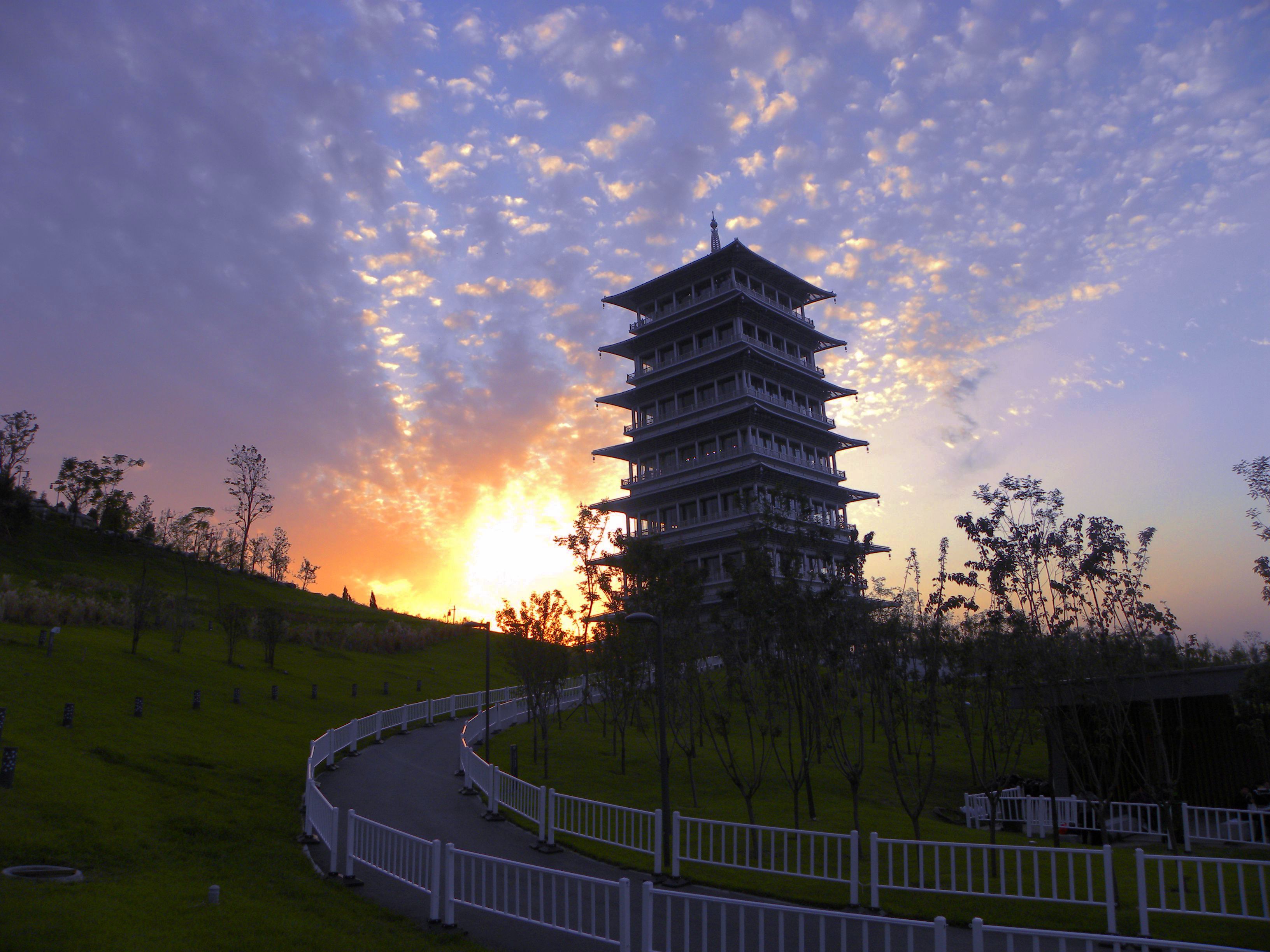 DSCN9495.JPG