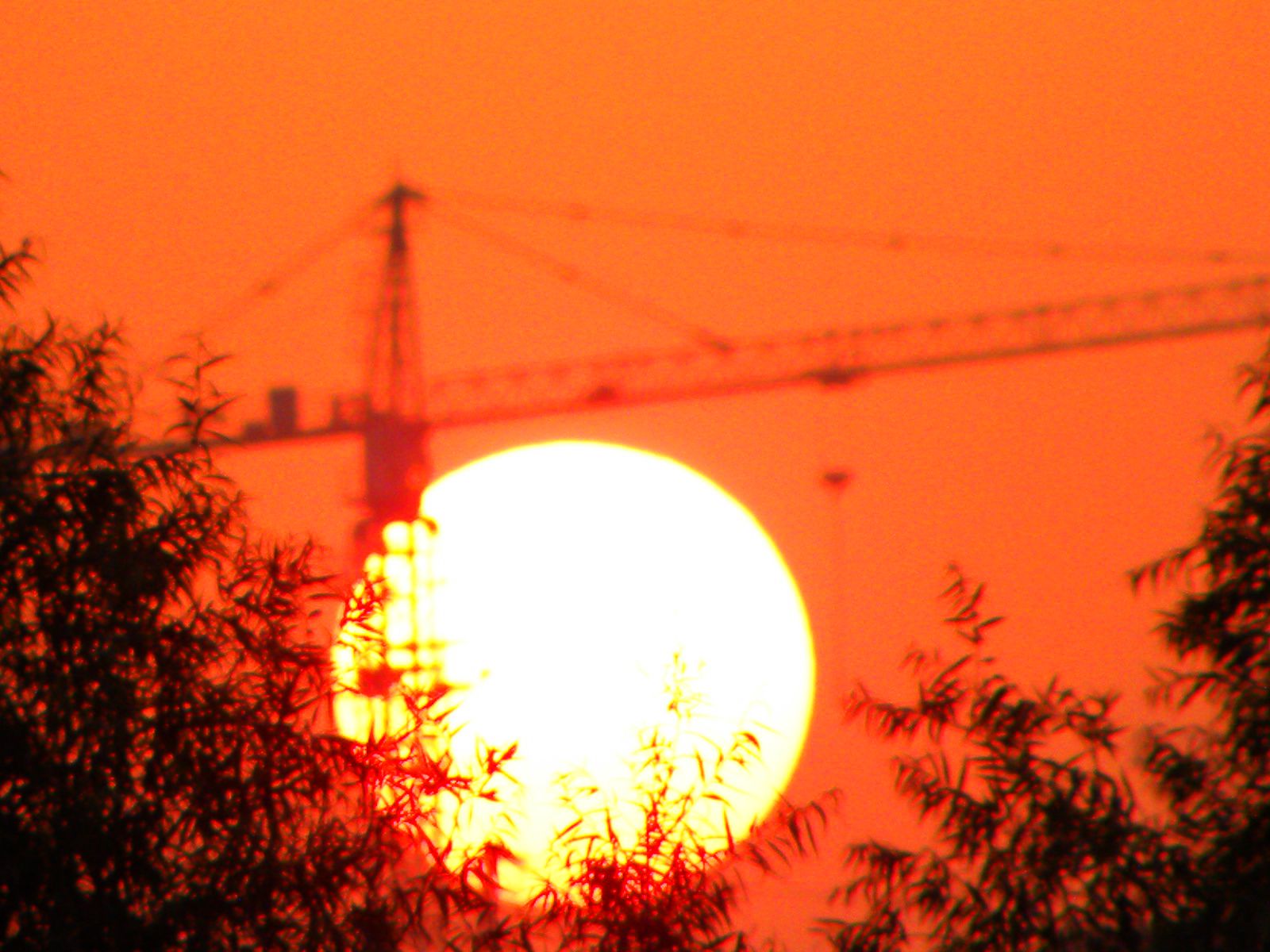 DSCN1123.JPG