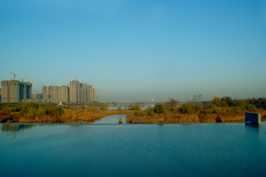 DSC_4674.jpg