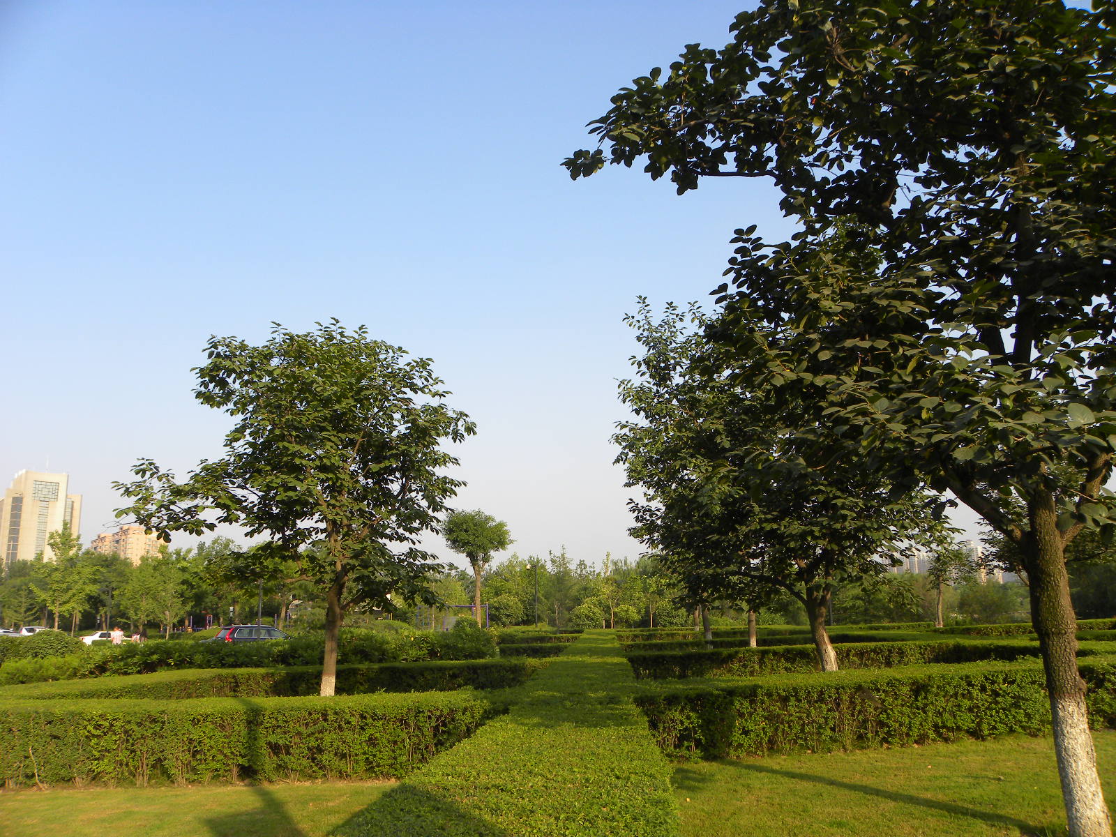 DSCN0936.JPG