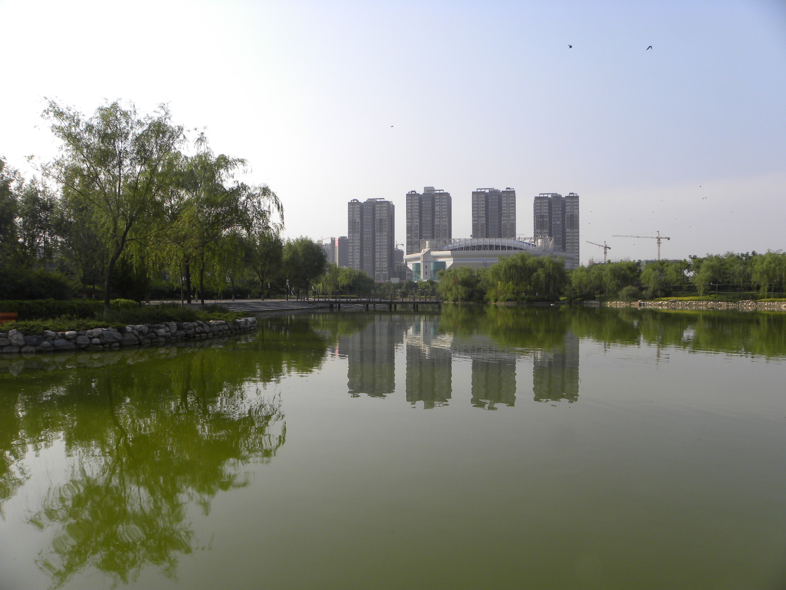 DSCN0863.JPG