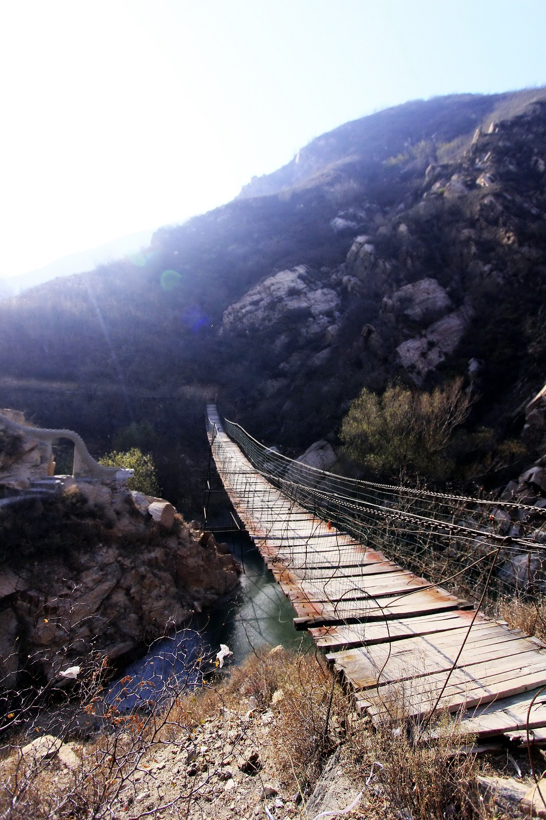 06.jpg
