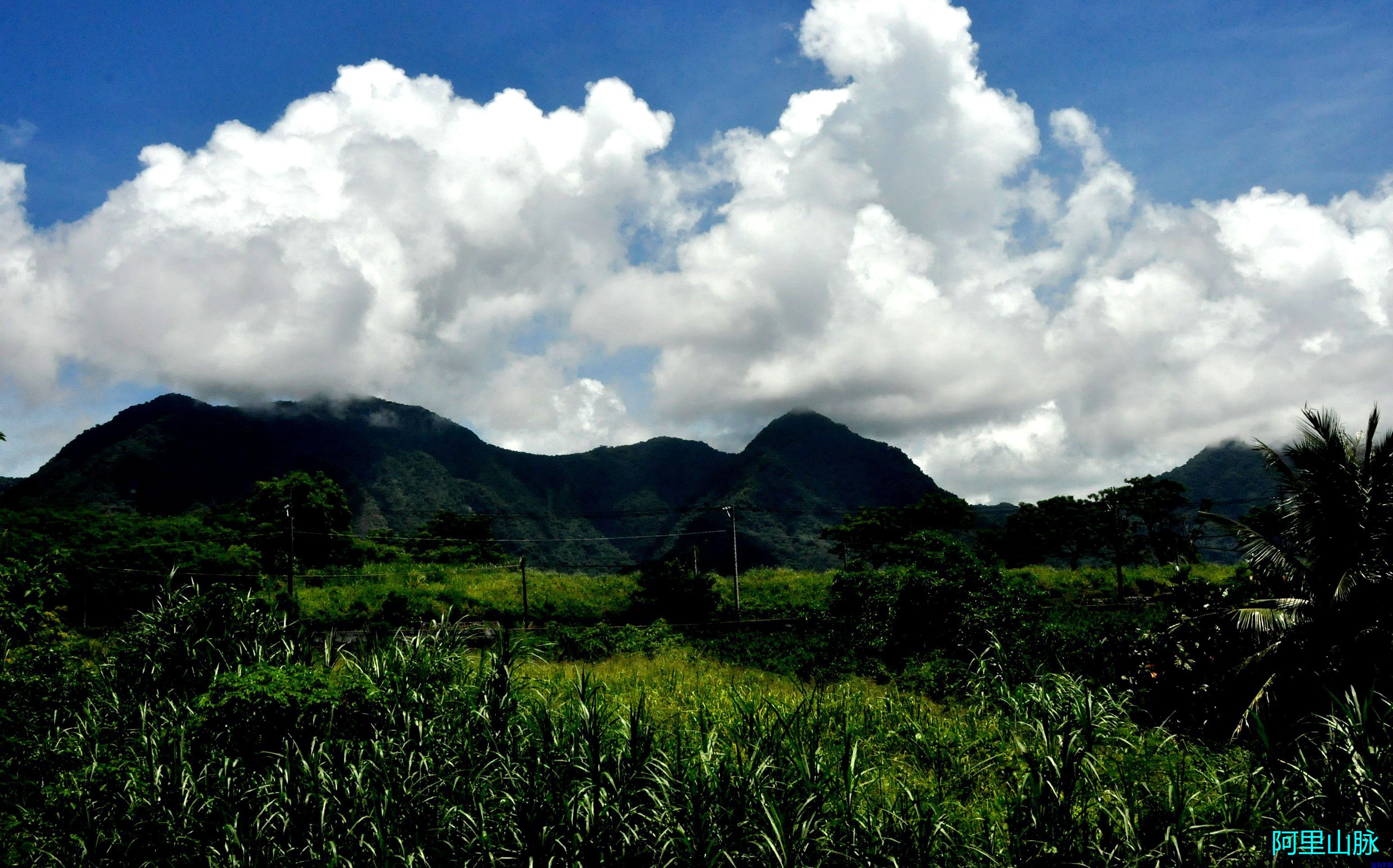 DSC_3514.jpg