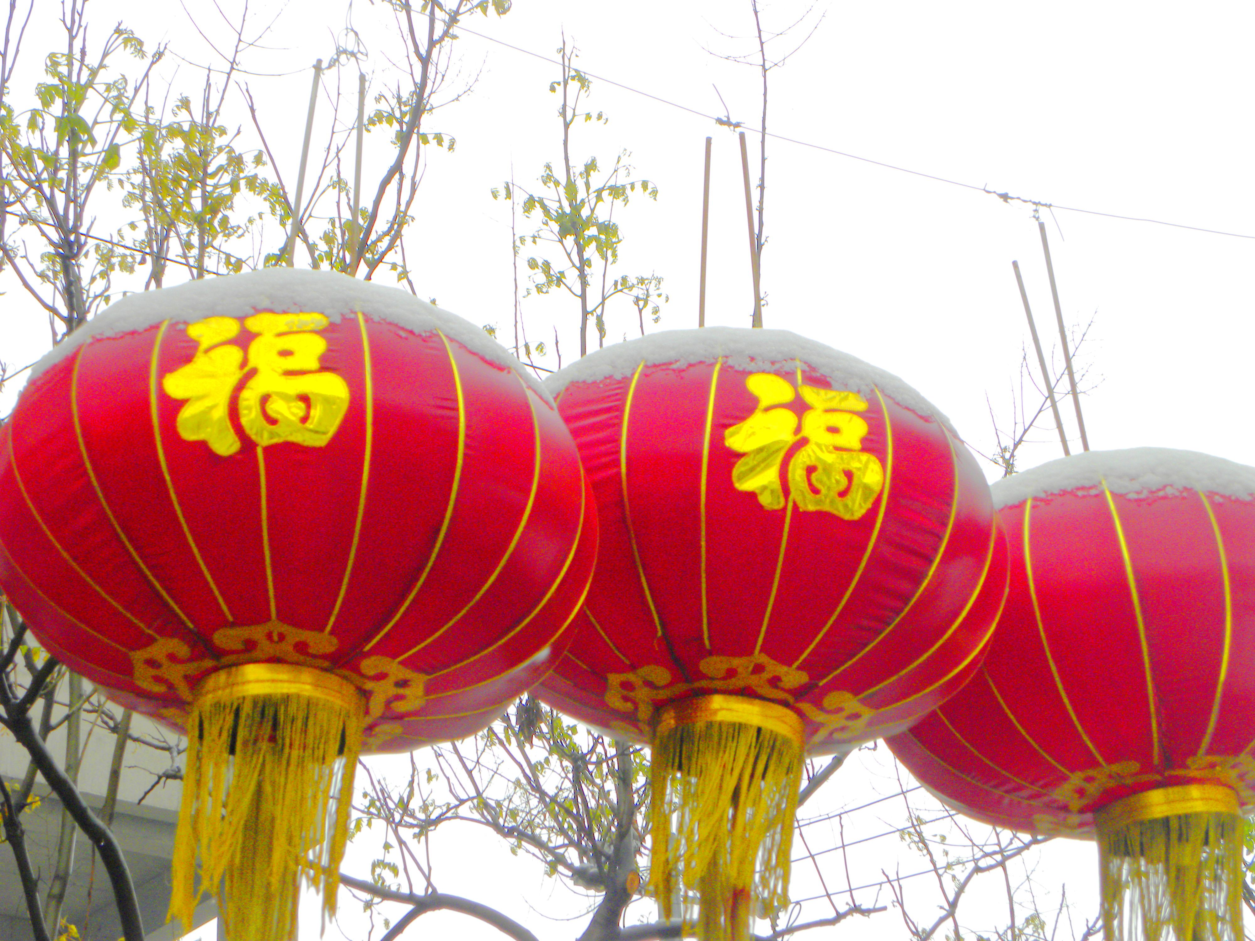 DSCN9971.JPG