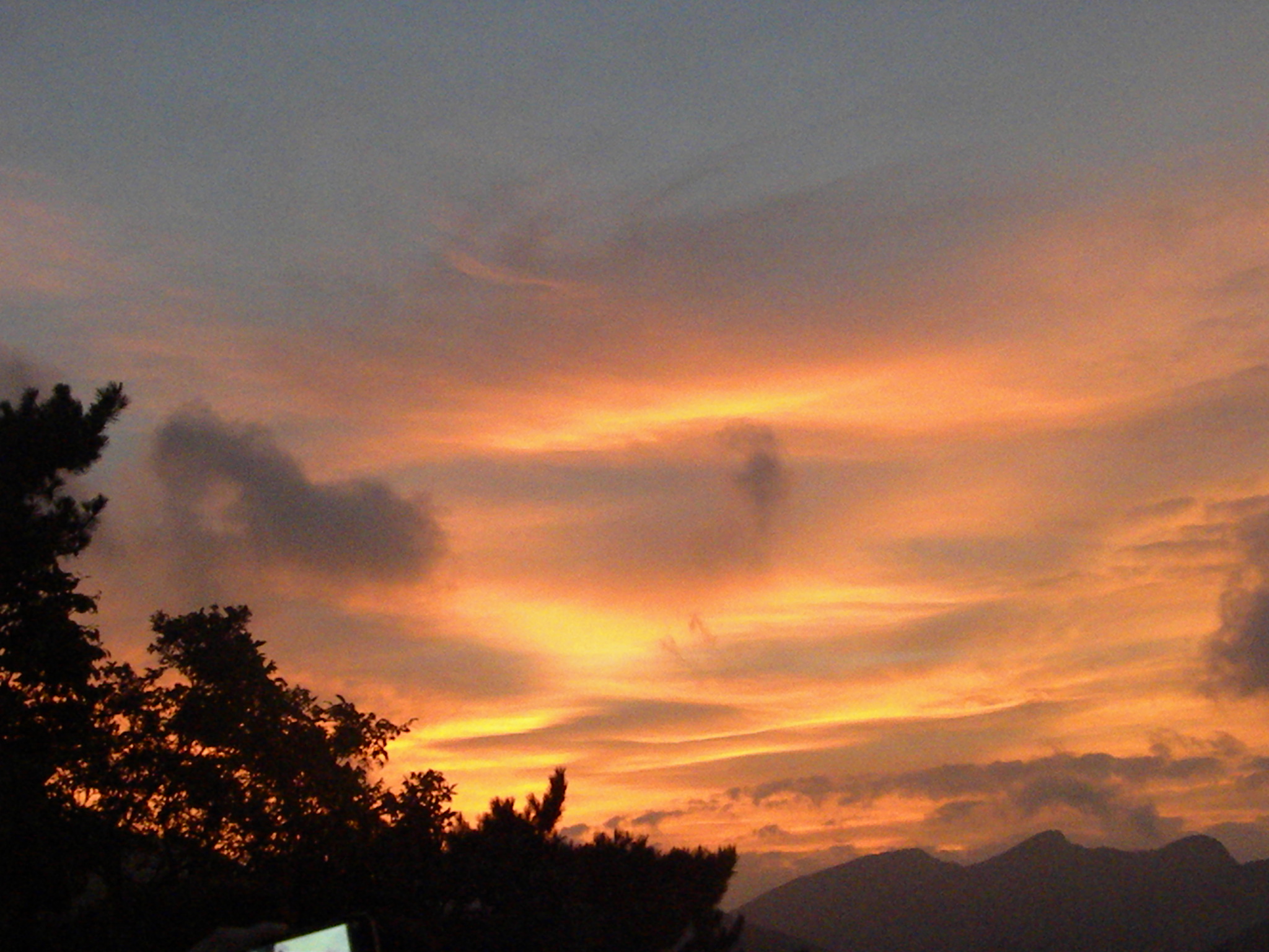 DSCN0240.JPG