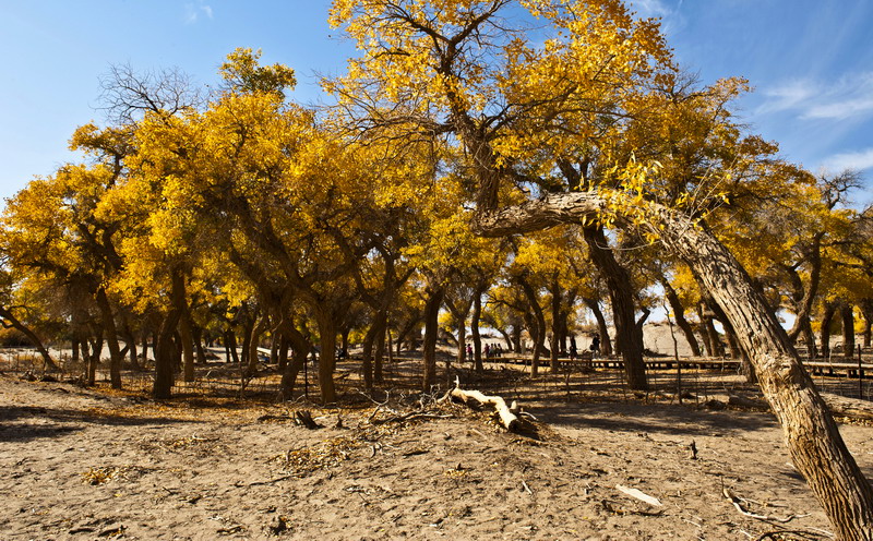 DSC_3166.JPG