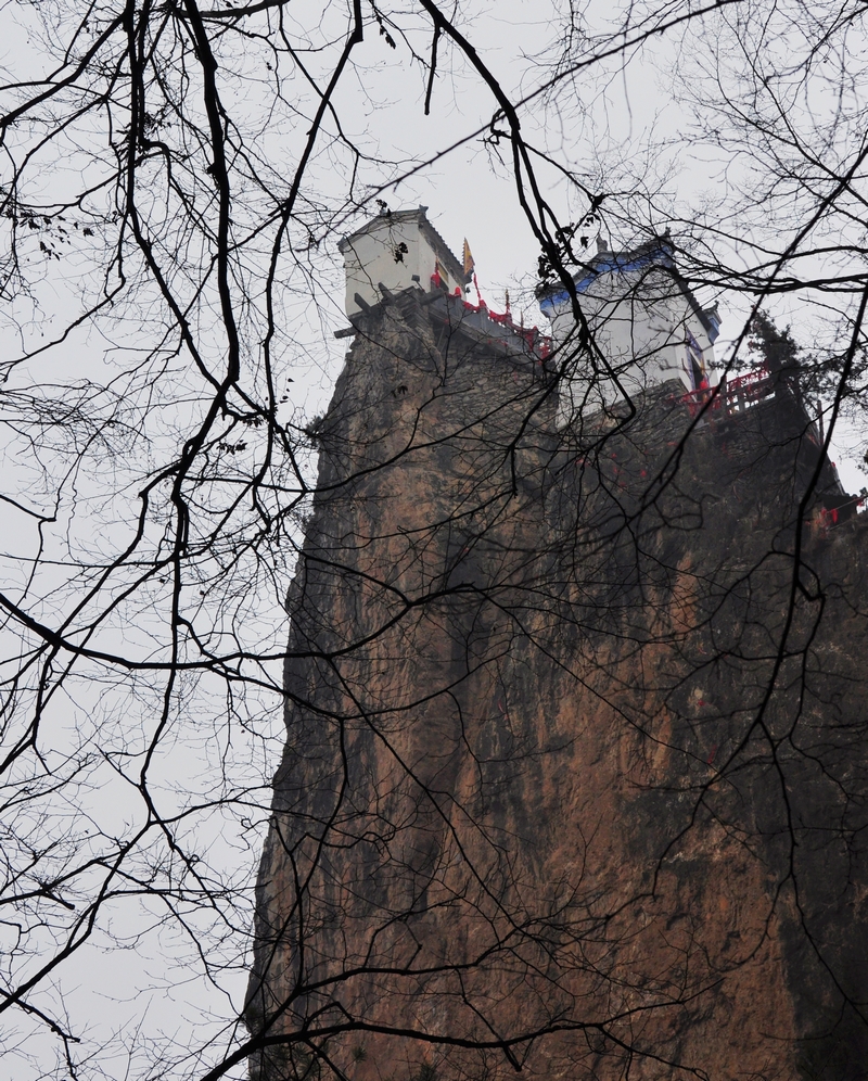 DSC_0046.jpg