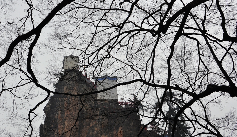 DSC_0058.jpg