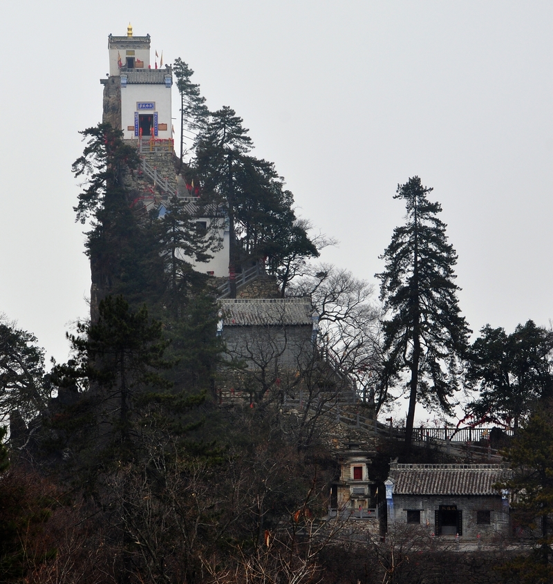 DSC_0069.jpg