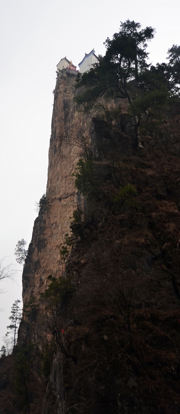 DSC_4114.jpg