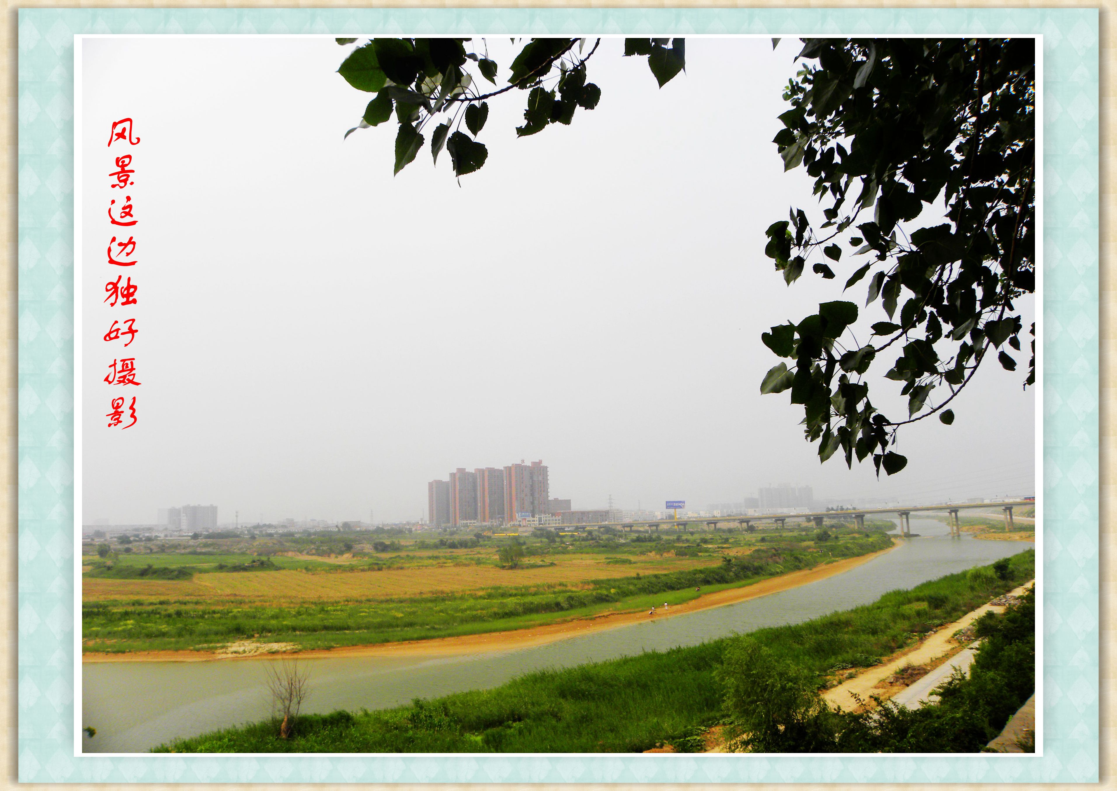 DSCN8252.JPG