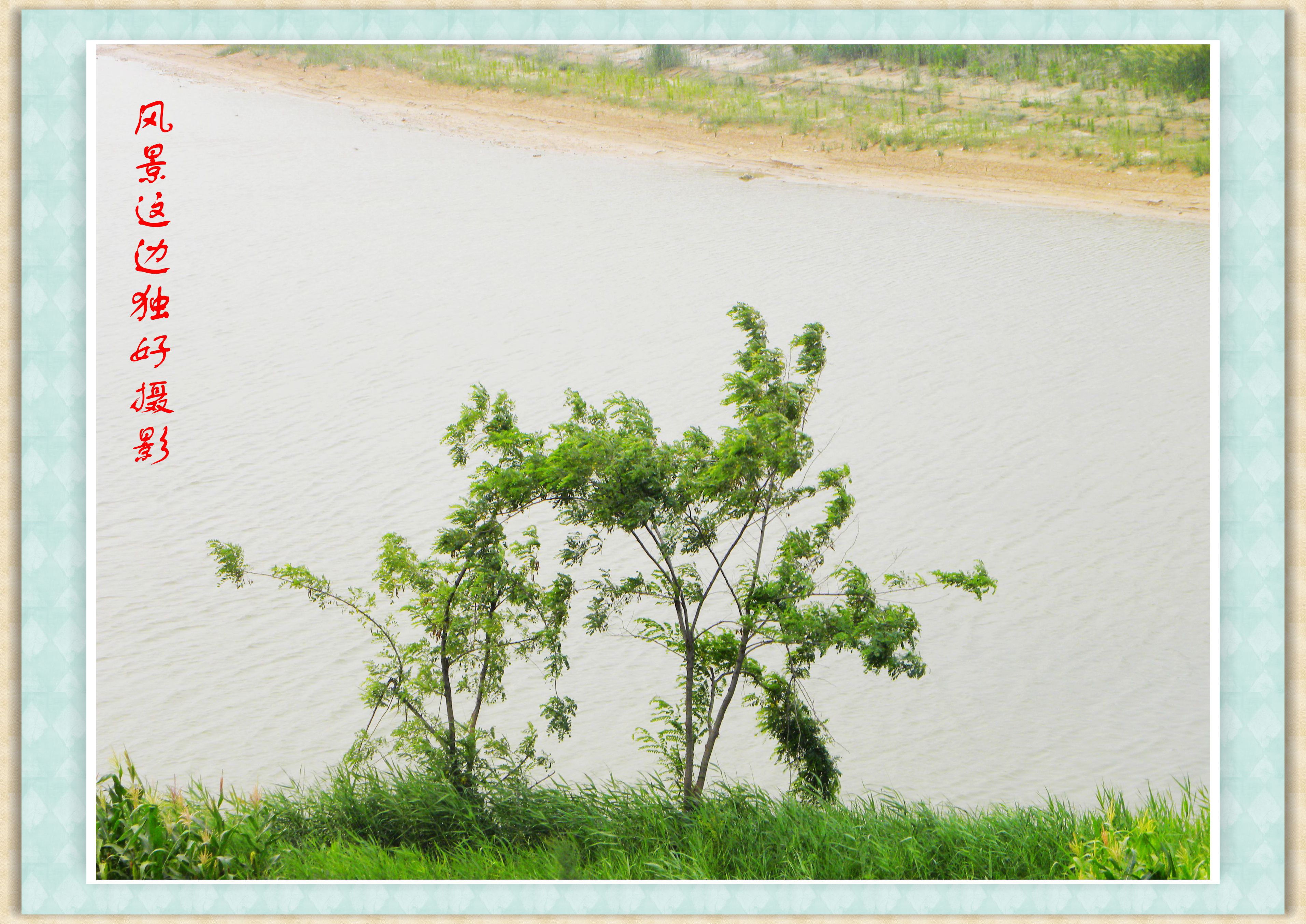 DSCN8255.JPG