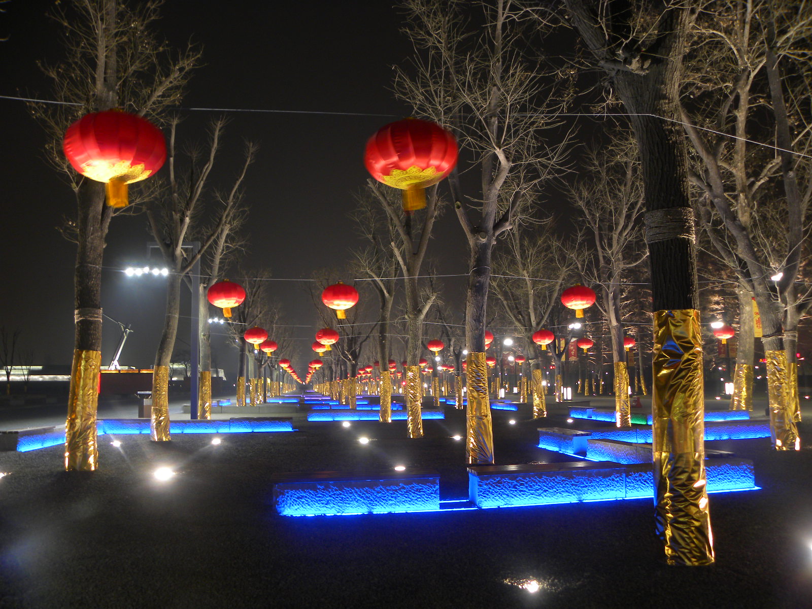 DSCN7754.JPG