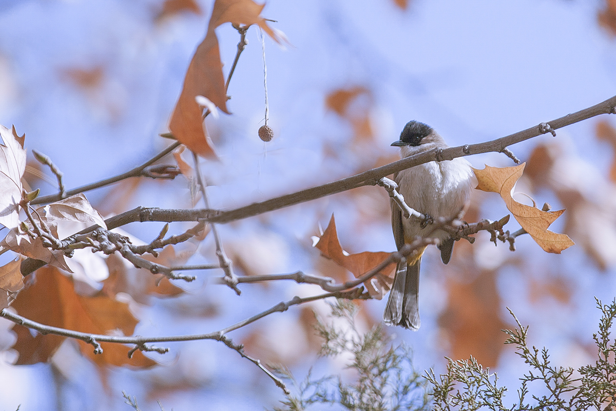 20131228_3253.jpg