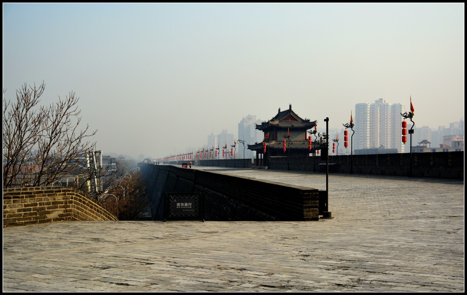 DSC_0776_conew1.jpg