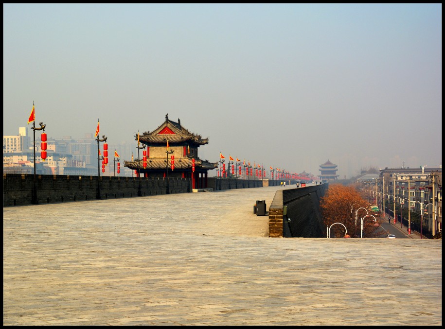 DSC_0782_conew1.jpg