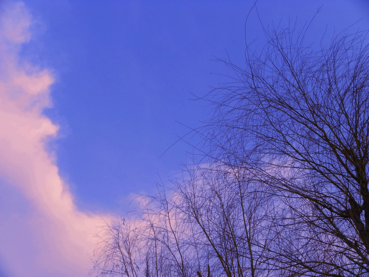 DSCN0738.JPG