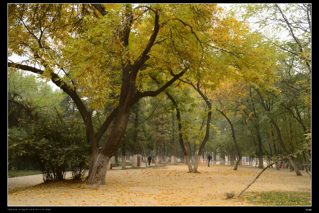 DSC_0017.jpg