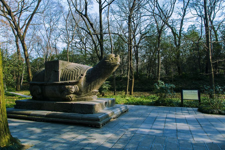 05.jpg