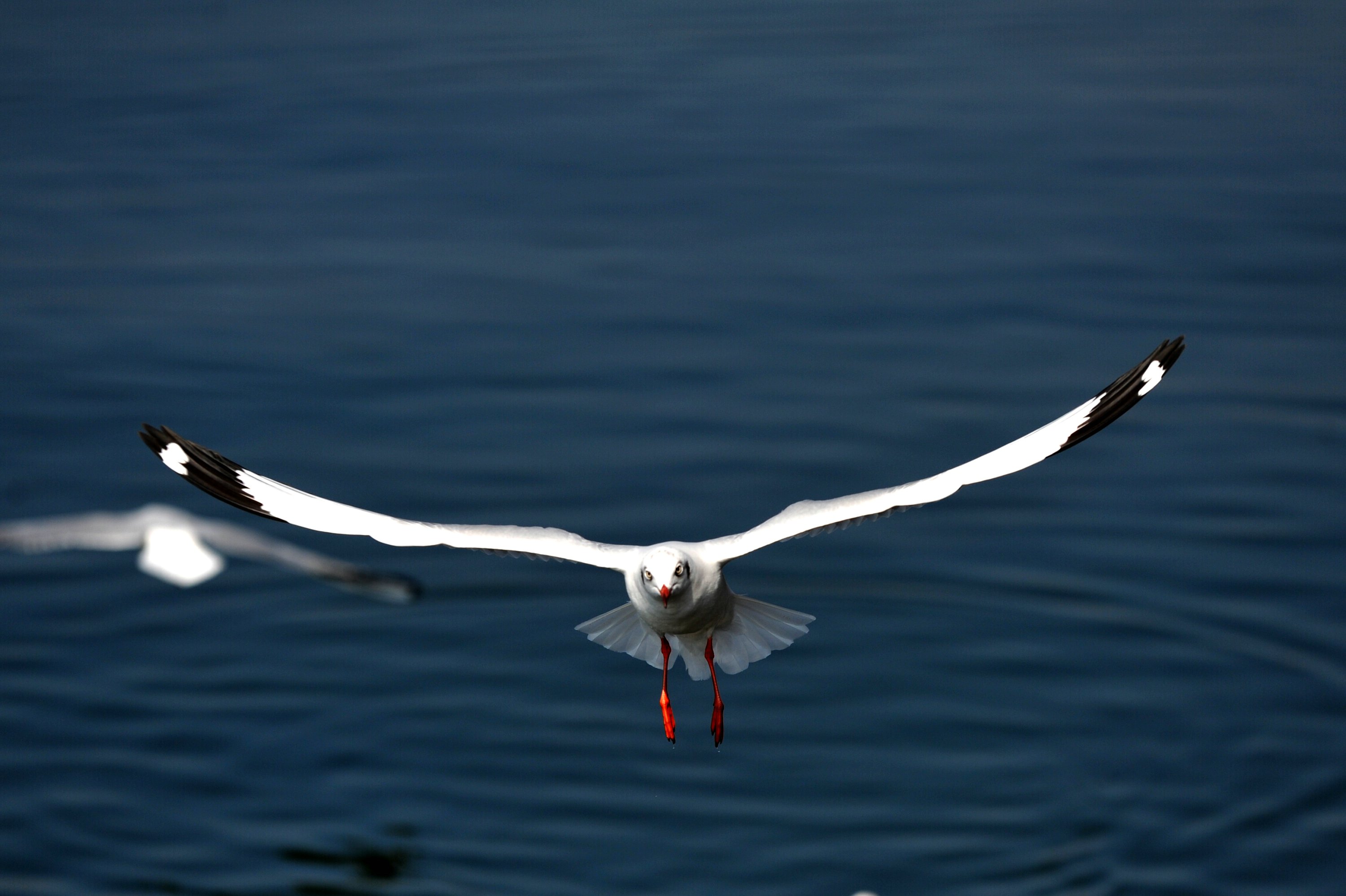 DSC_6747.JPG