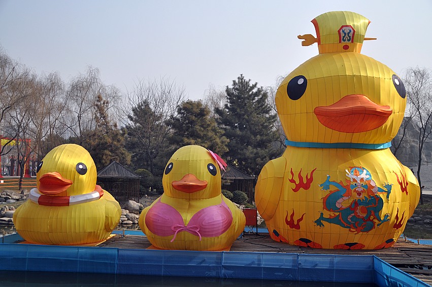 DSC_0027_conew1.jpg