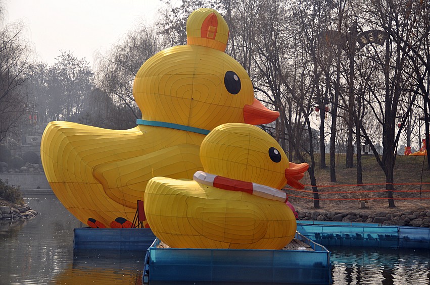 DSC_0033_conew1.jpg