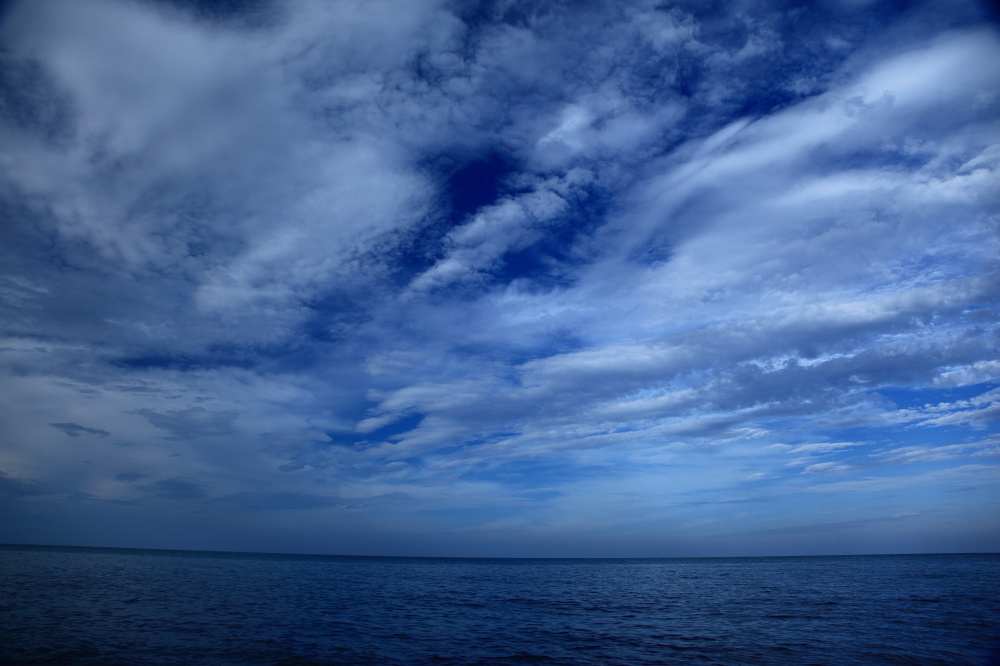 IMG_1524.jpg