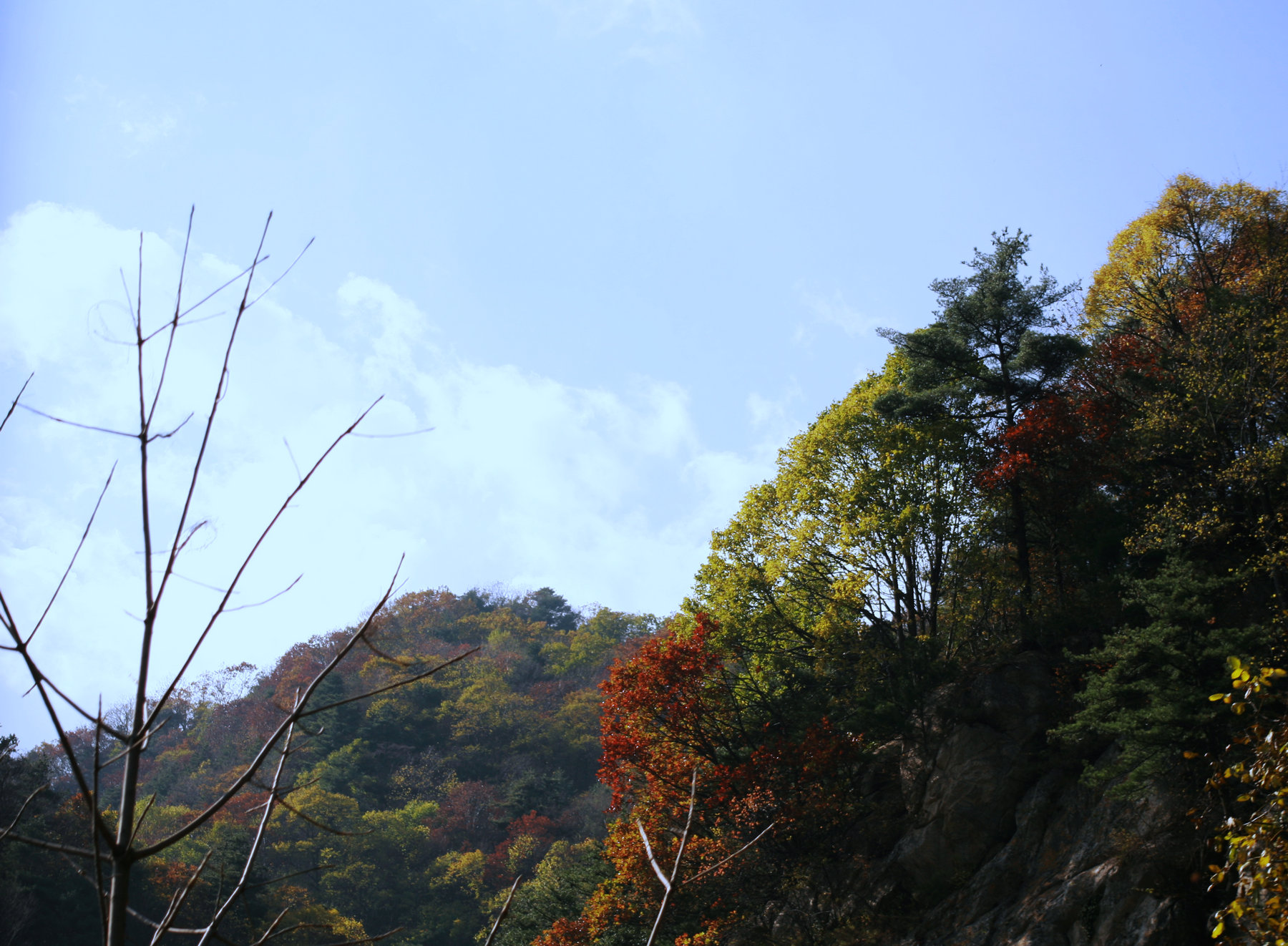 照片y 032.jpg