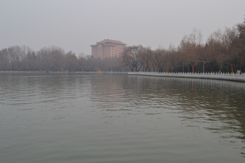 DSC_0211.jpg