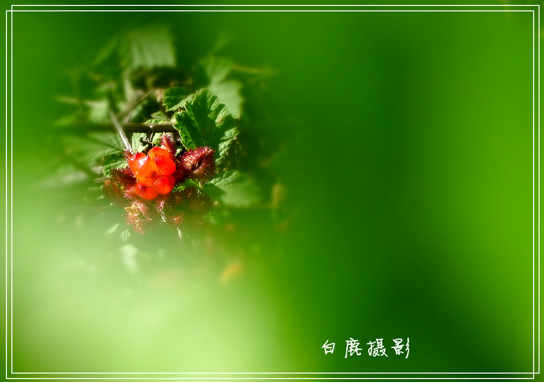 P1190548_副本.jpg