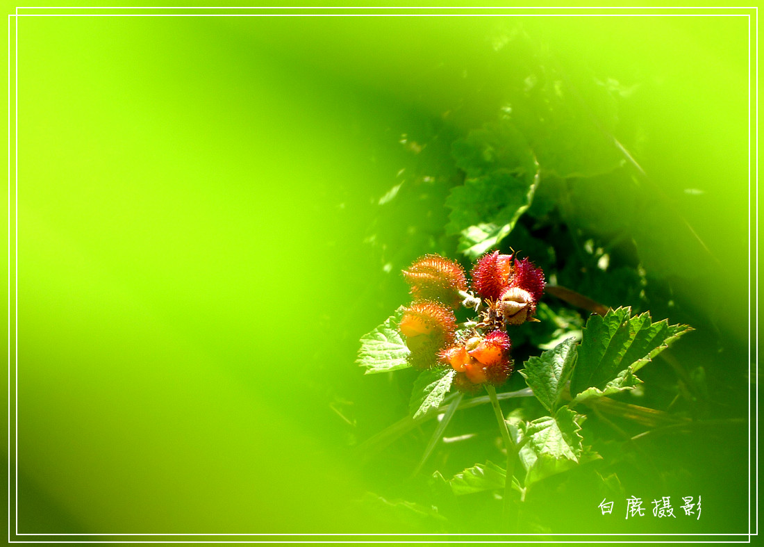 P1190552_副本.jpg